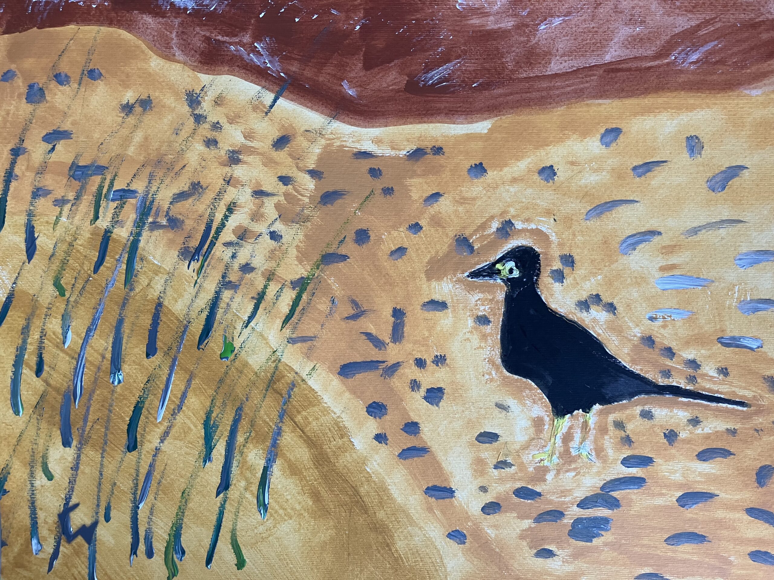 Zutrauliche Krähe, Florian Wild, 2025